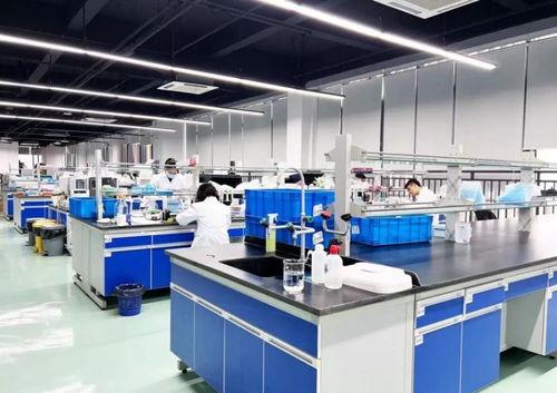 藥界清華 如何引領南京與珠海軟件開發的變革浪潮