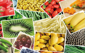 珠海軟件開發(fā)與廣告設(shè)計(jì)外包 融合創(chuàng)新，驅(qū)動(dòng)企業(yè)數(shù)字化轉(zhuǎn)型